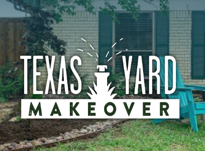 texas yard makeover